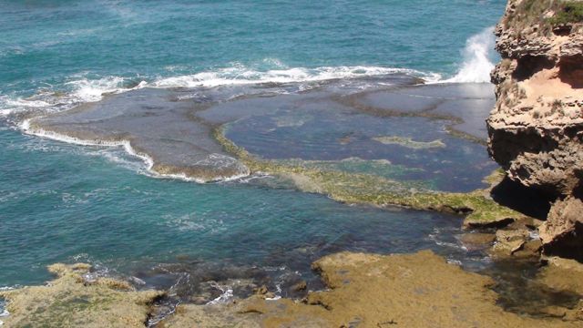 Rock pool in rock ledge at St. Pauls Road back beach.